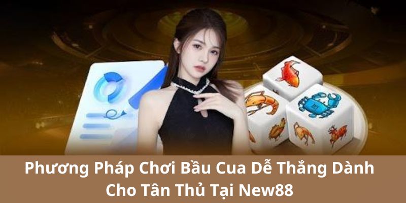 Bầu cua New88 – Cách chơi bầu cua new88, đăng ký, đăng nhập